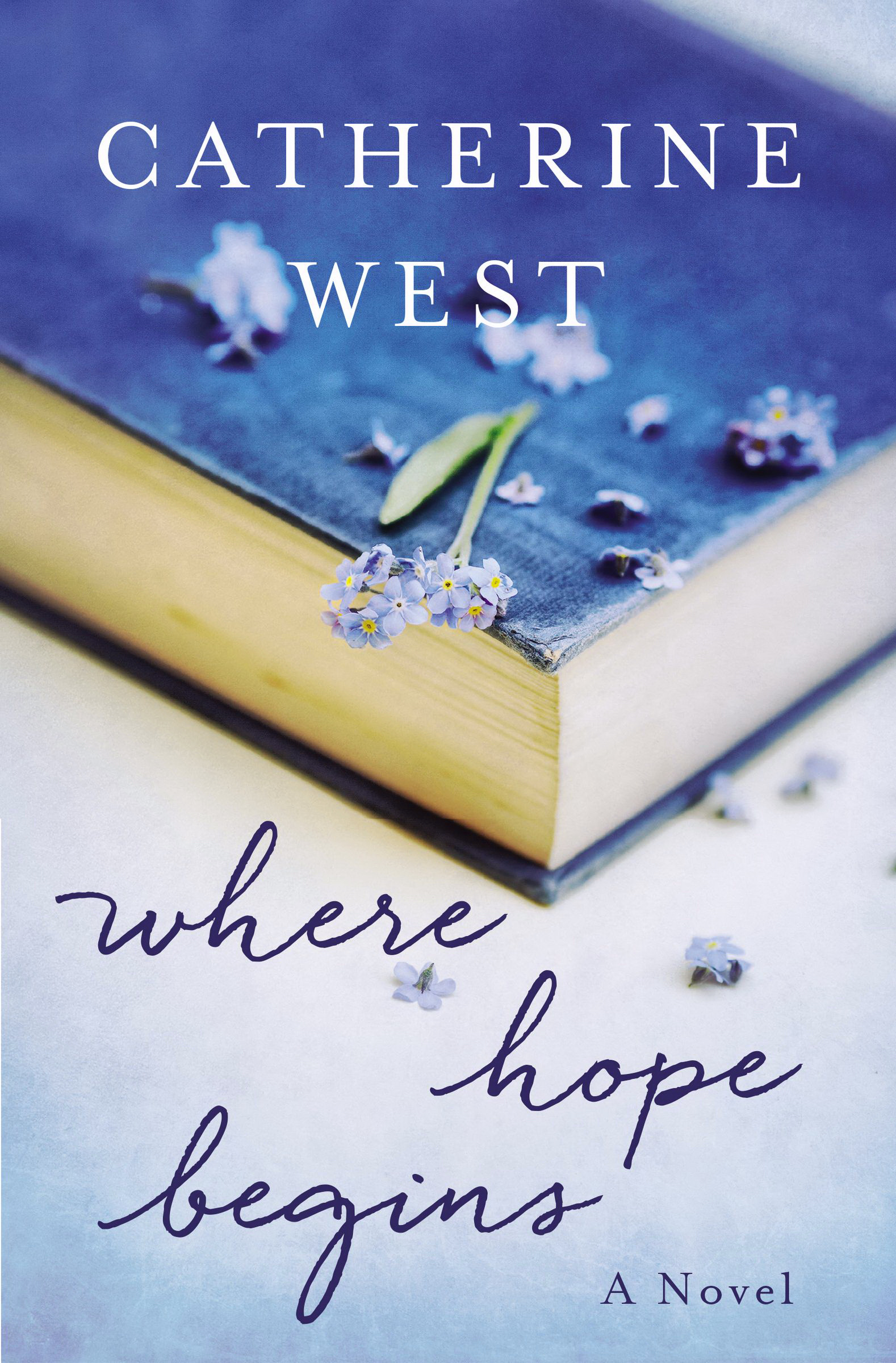 Where Hope Begins By Catherine West (Paperback) 9780785217435