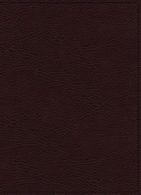 Niv Maxwell Leadership Bible 3rd Edition Premium Bonded Leather Bu