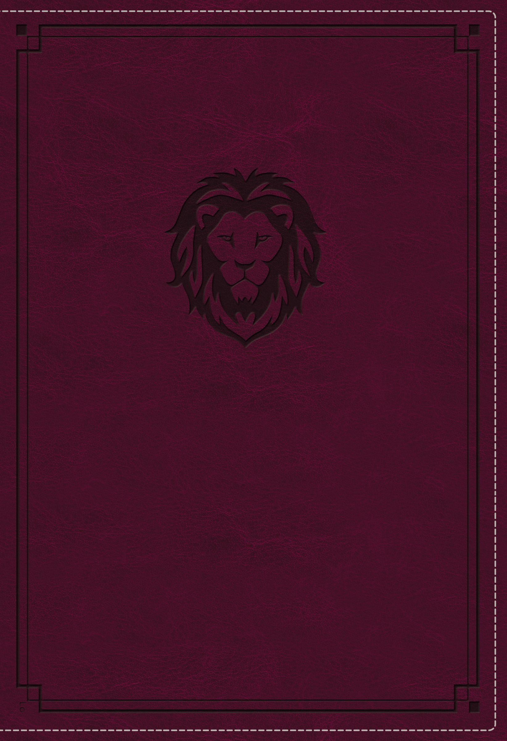 KJV Thinline Bible Youth Edition By Thomas Nelson (Imitation Leather)