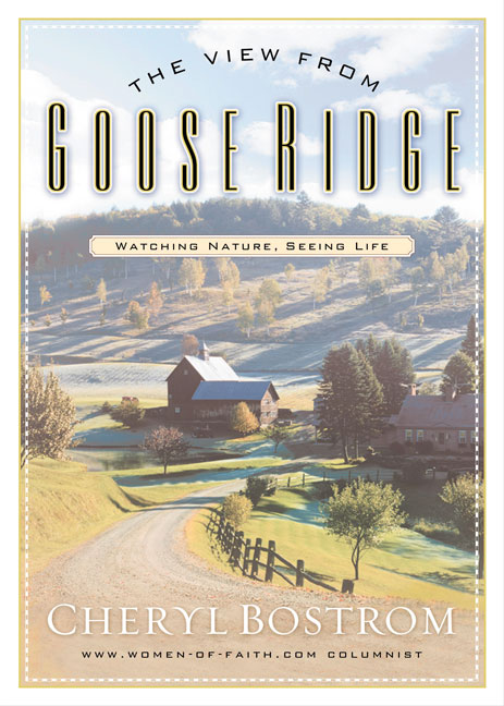 The View from Goose Ridge Watching Nature Seeing Life (Paperback)