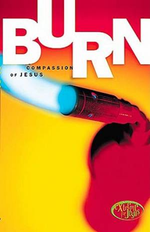 Burn By Brian Shipman (Paperback) 9780785296867