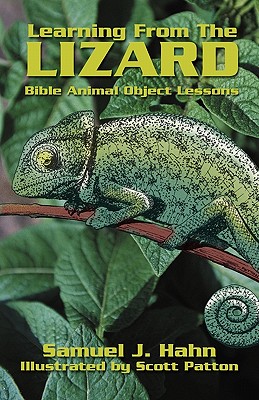 Learning From The Lizard By S J Hahn (Paperback) 9780788015939