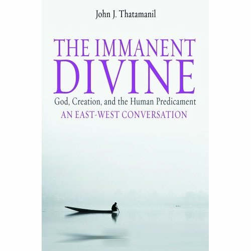 Immanent Divine By John J Thatamanil (Paperback) 9780800637934