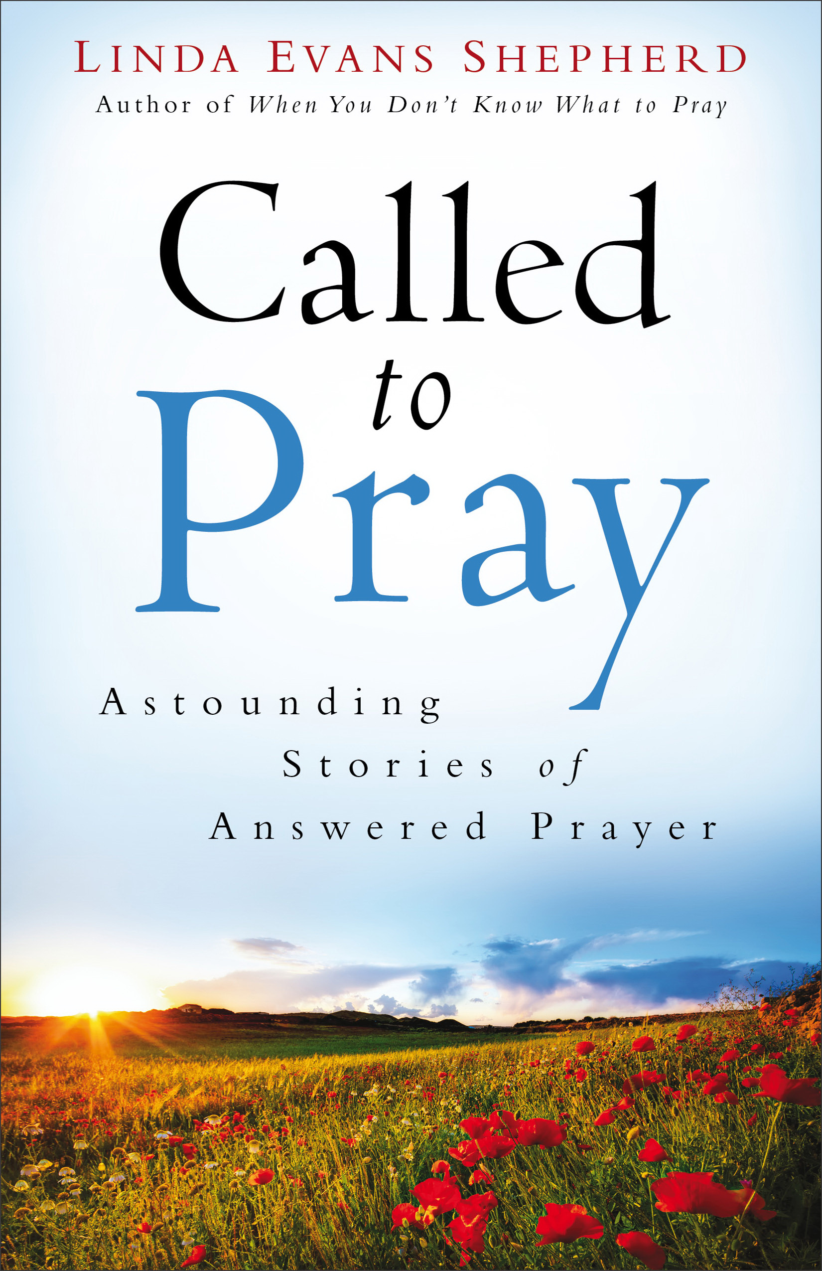 Called to Pray By Linda Evans Shepherd (Paperback) 9780800722920