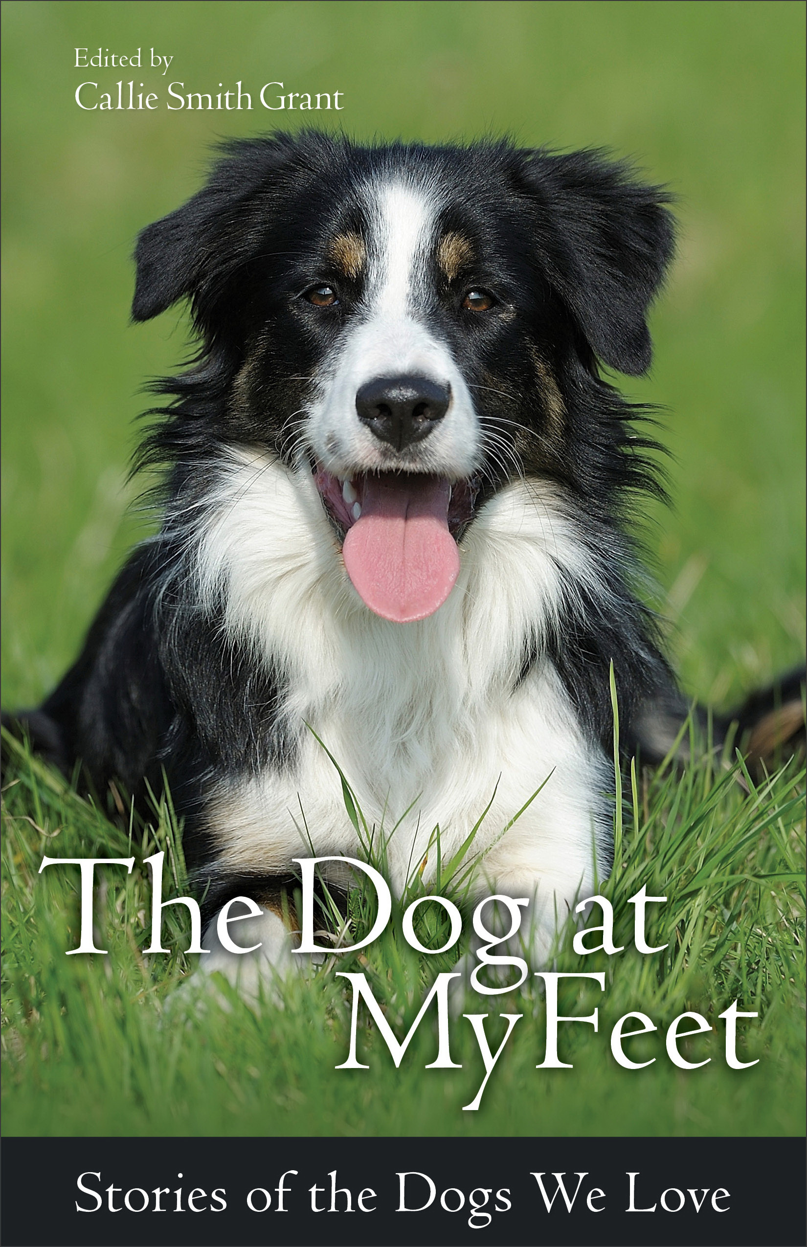 The Dog at My Feet By Callie Smith Grant (Paperback) 9780800723095