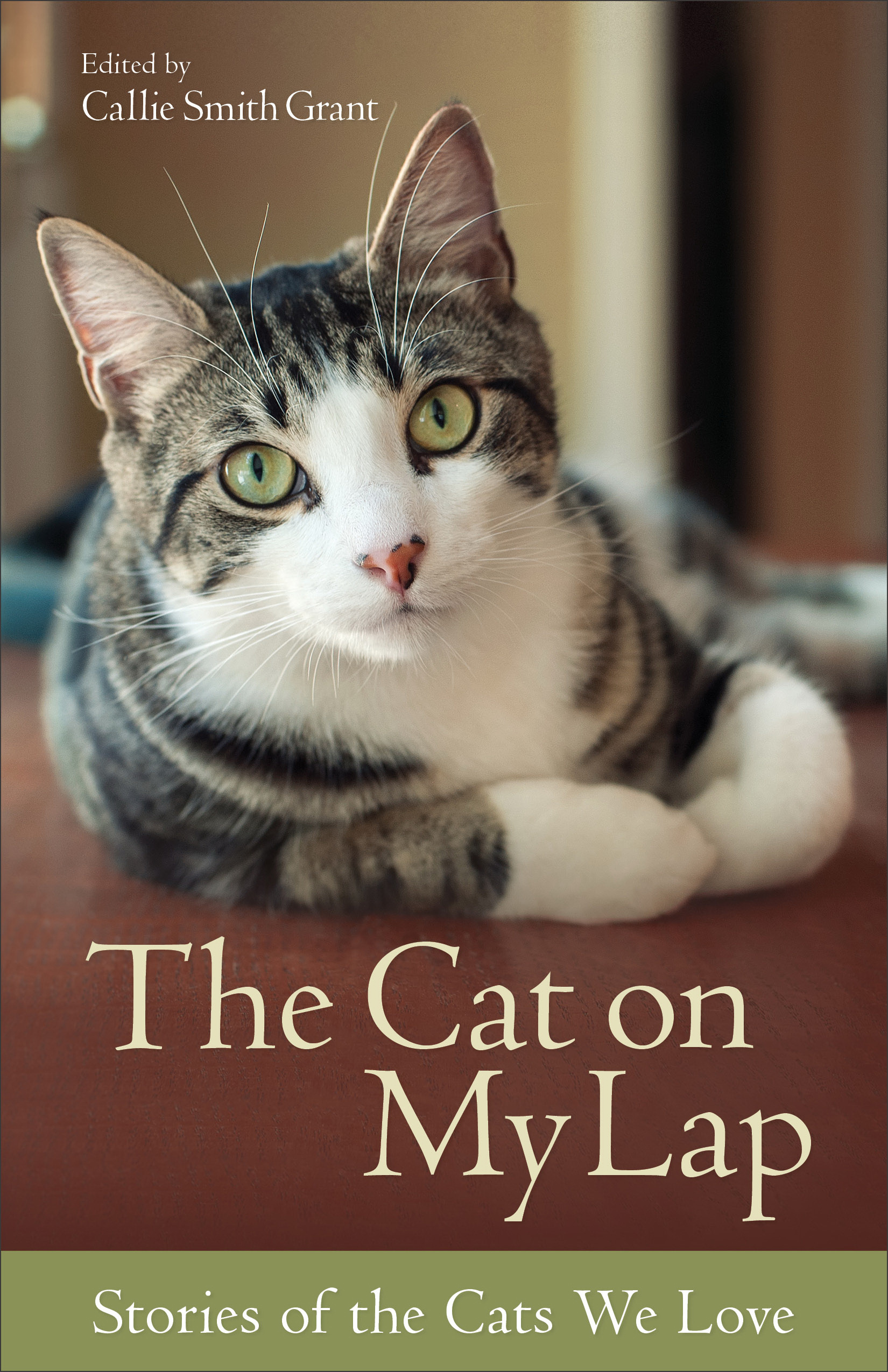 The Cat on My Lap By Callie Smith Grant (Paperback) 9780800723101