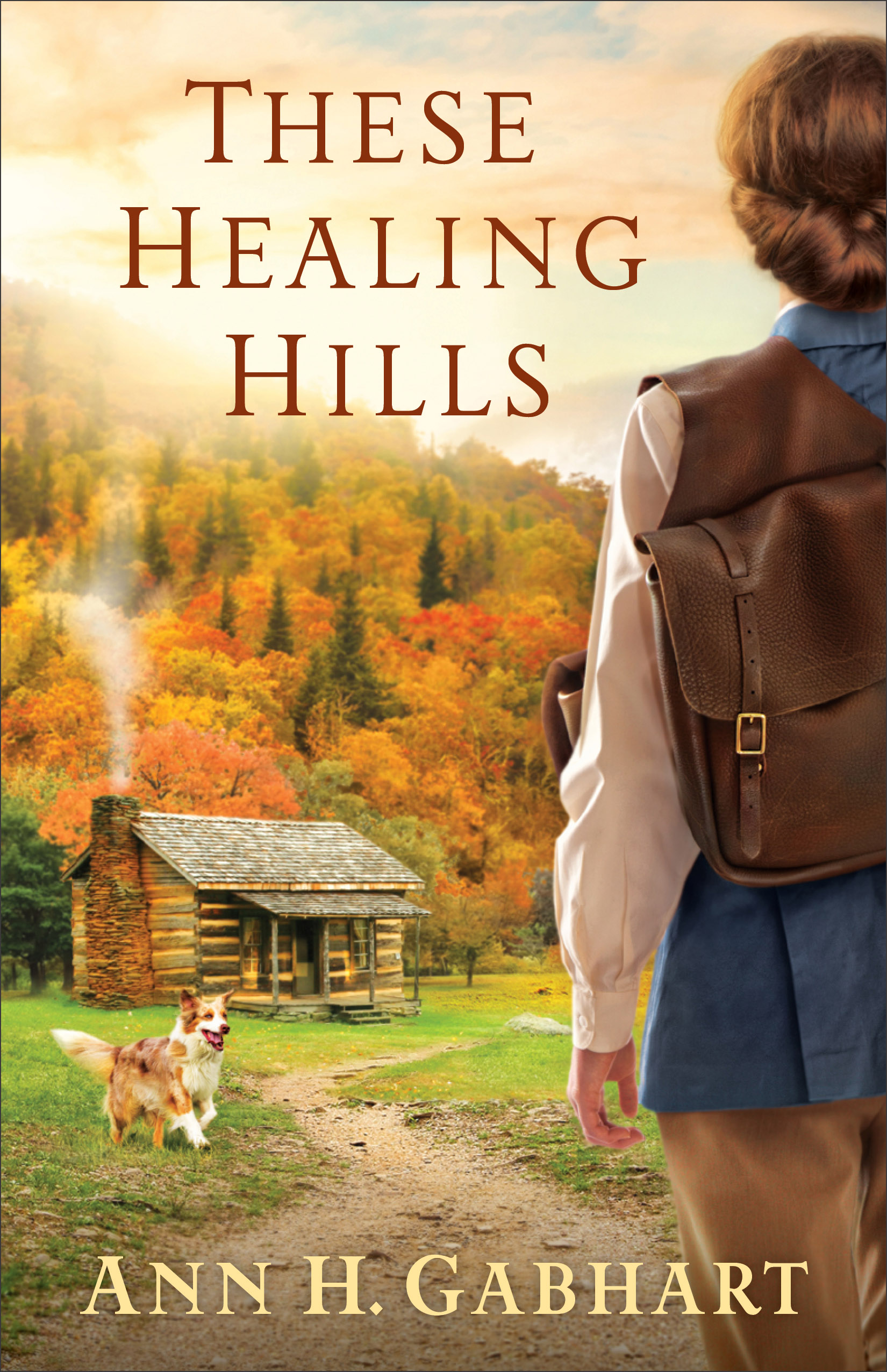 These Healing Hills By Ann H Gabhart (Paperback) 9780800723637