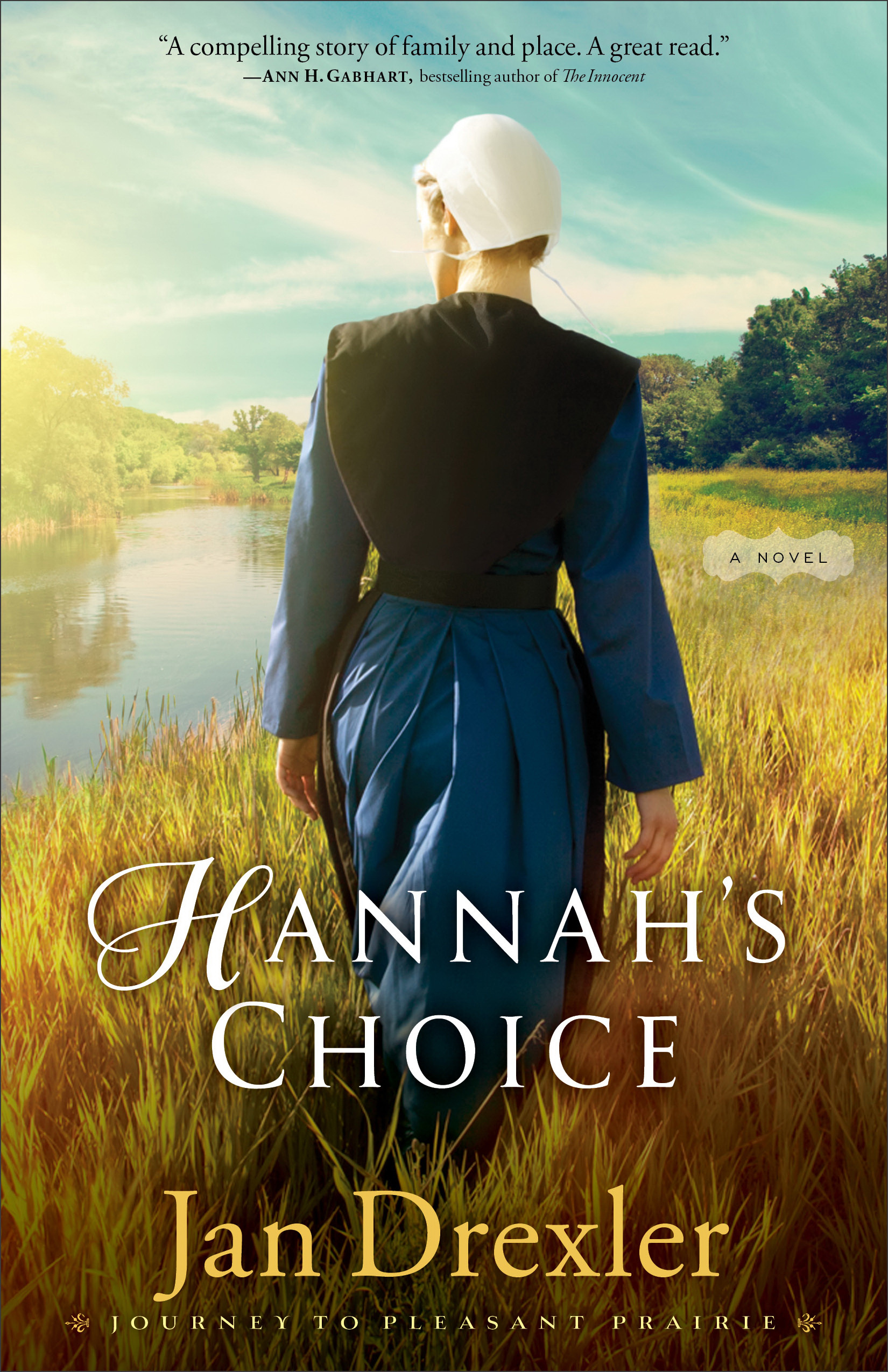 Hannah's Choice By Jan Drexler (Paperback) 9780800726560