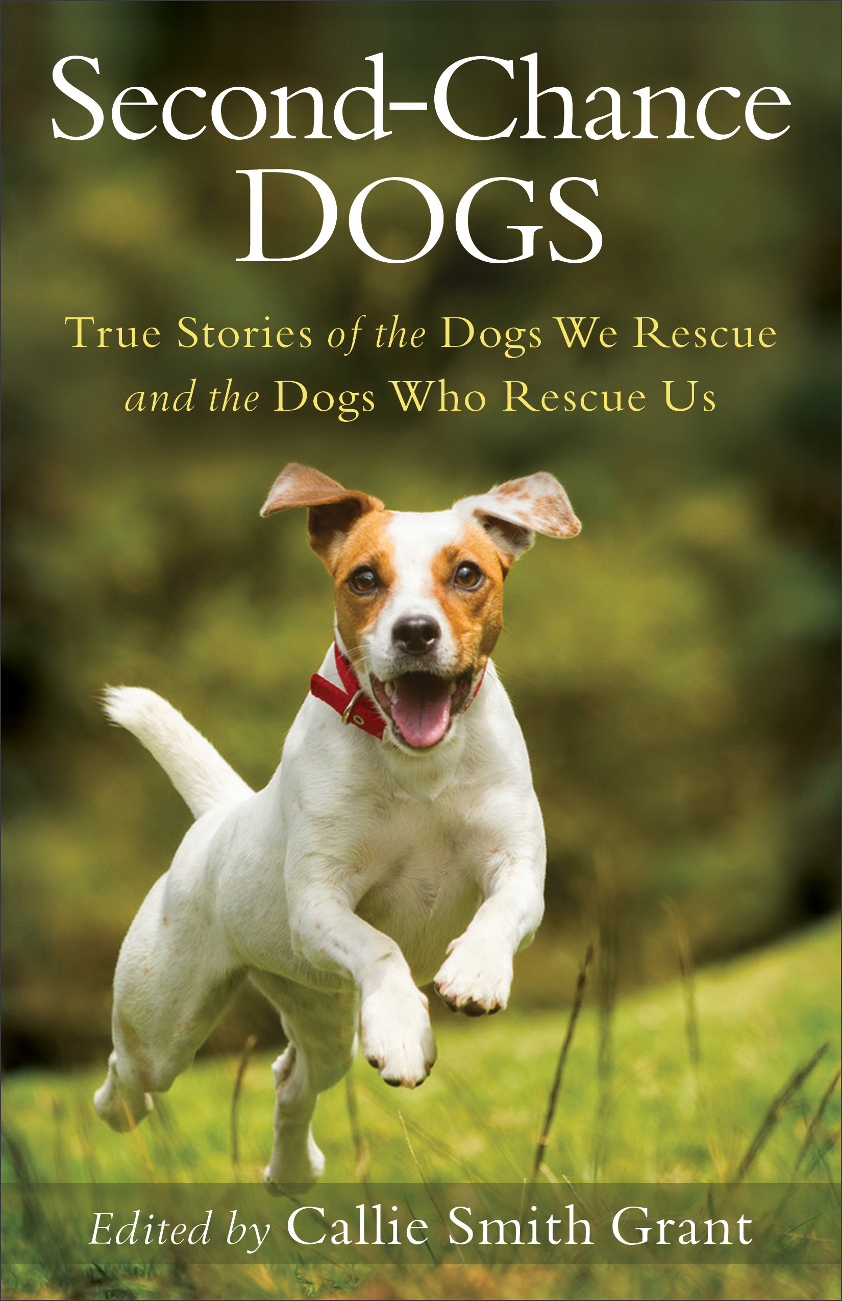 Second-Chance Dogs: True Stories of the Dogs We Rescue and the Dogs Who Rescue Us | Free