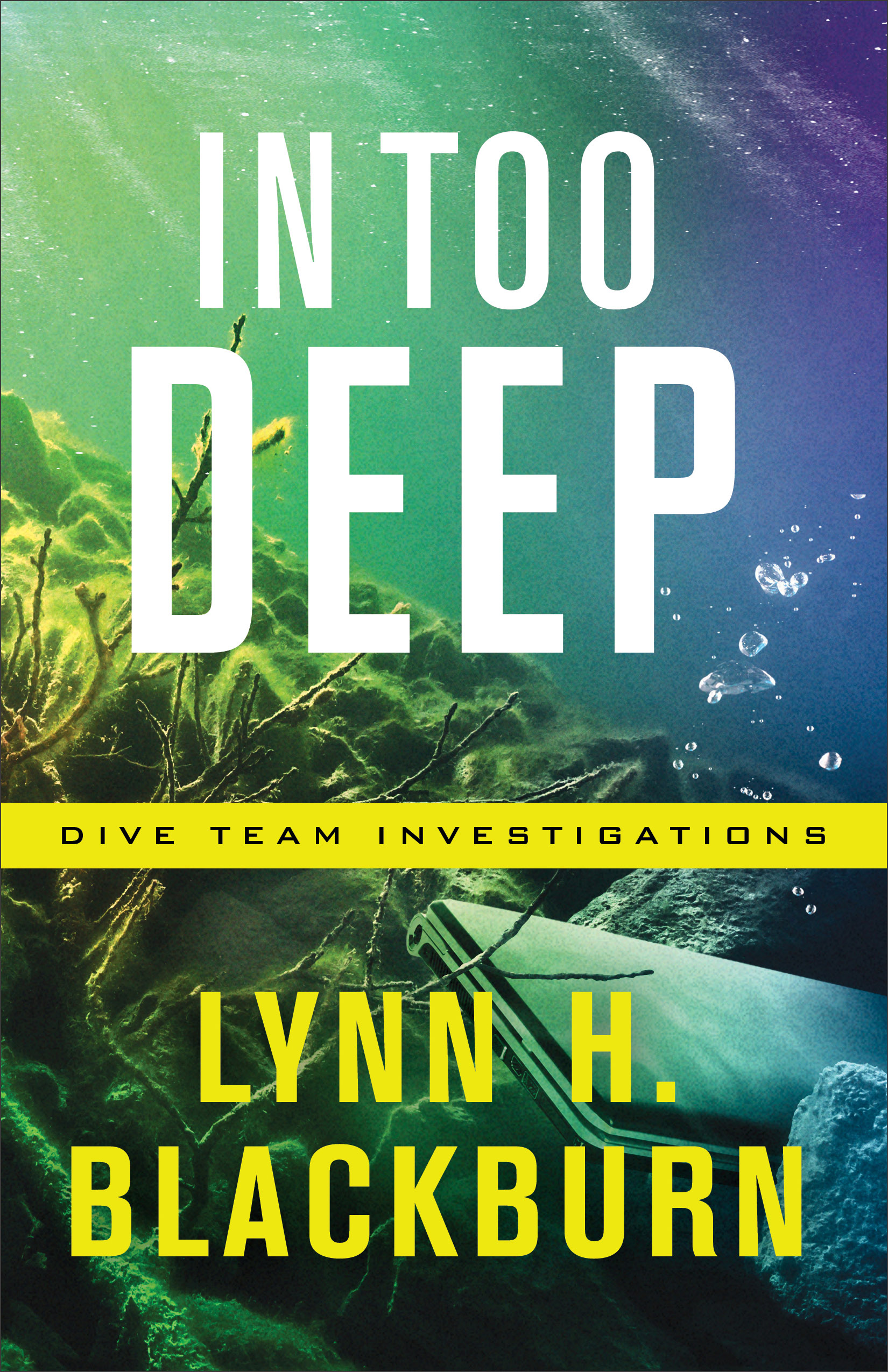 In Too Deep By Lynn Blackburn (Paperback) 9780800729295