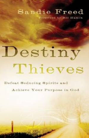 Destiny Thieves By Sandie Freed (Paperback) 9780800794200