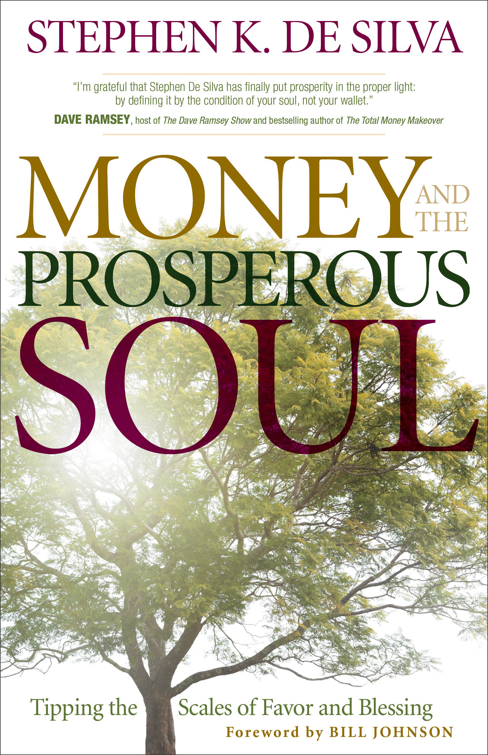 Money And The Prosperous Soul By Stephen K De Silva (Paperback)