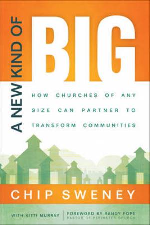 A New Kind of Big By Chip Sweney Kitti Murray (Paperback)