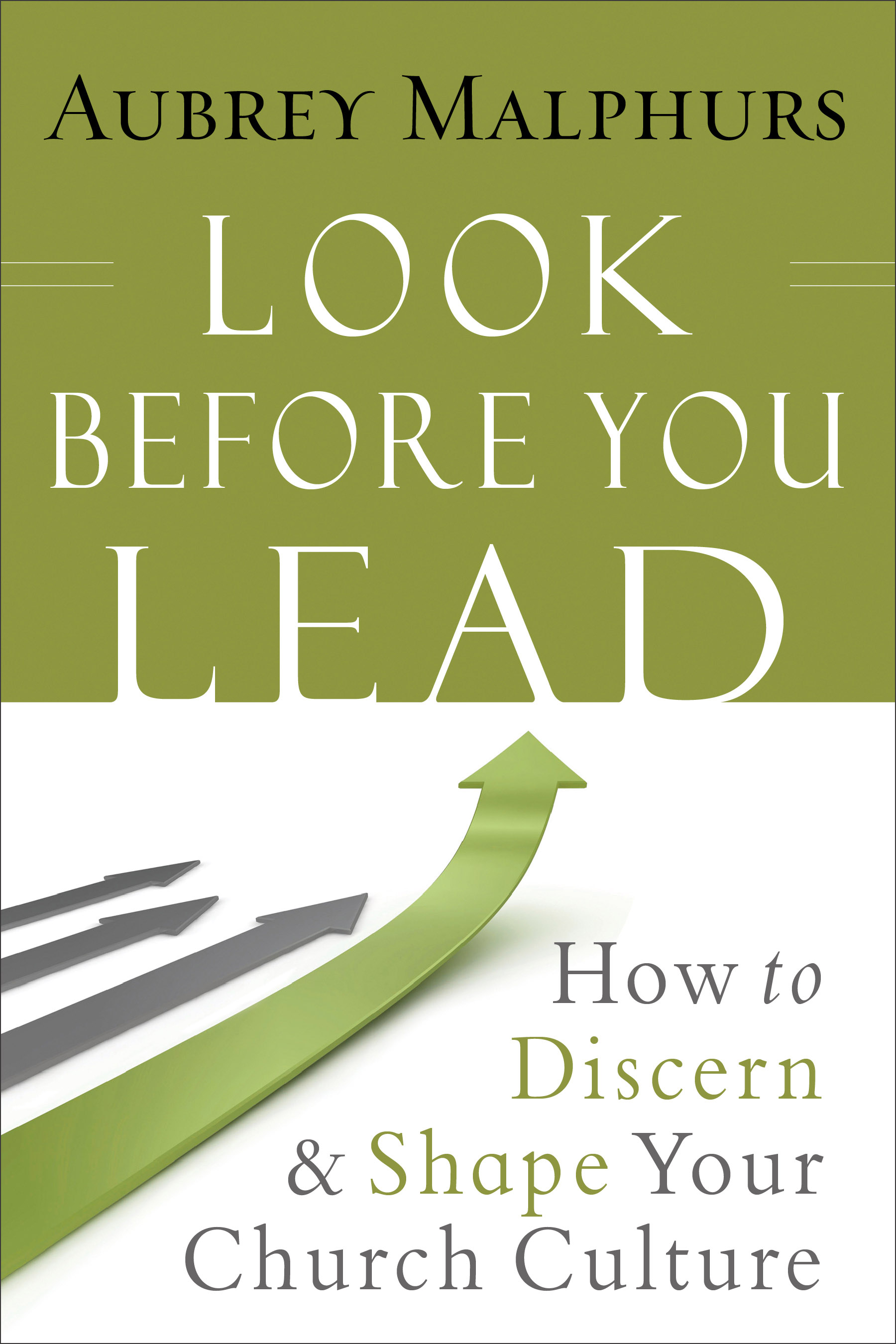 Look Before You Lead By Aubrey Malphurs (Paperback) 9780801015076