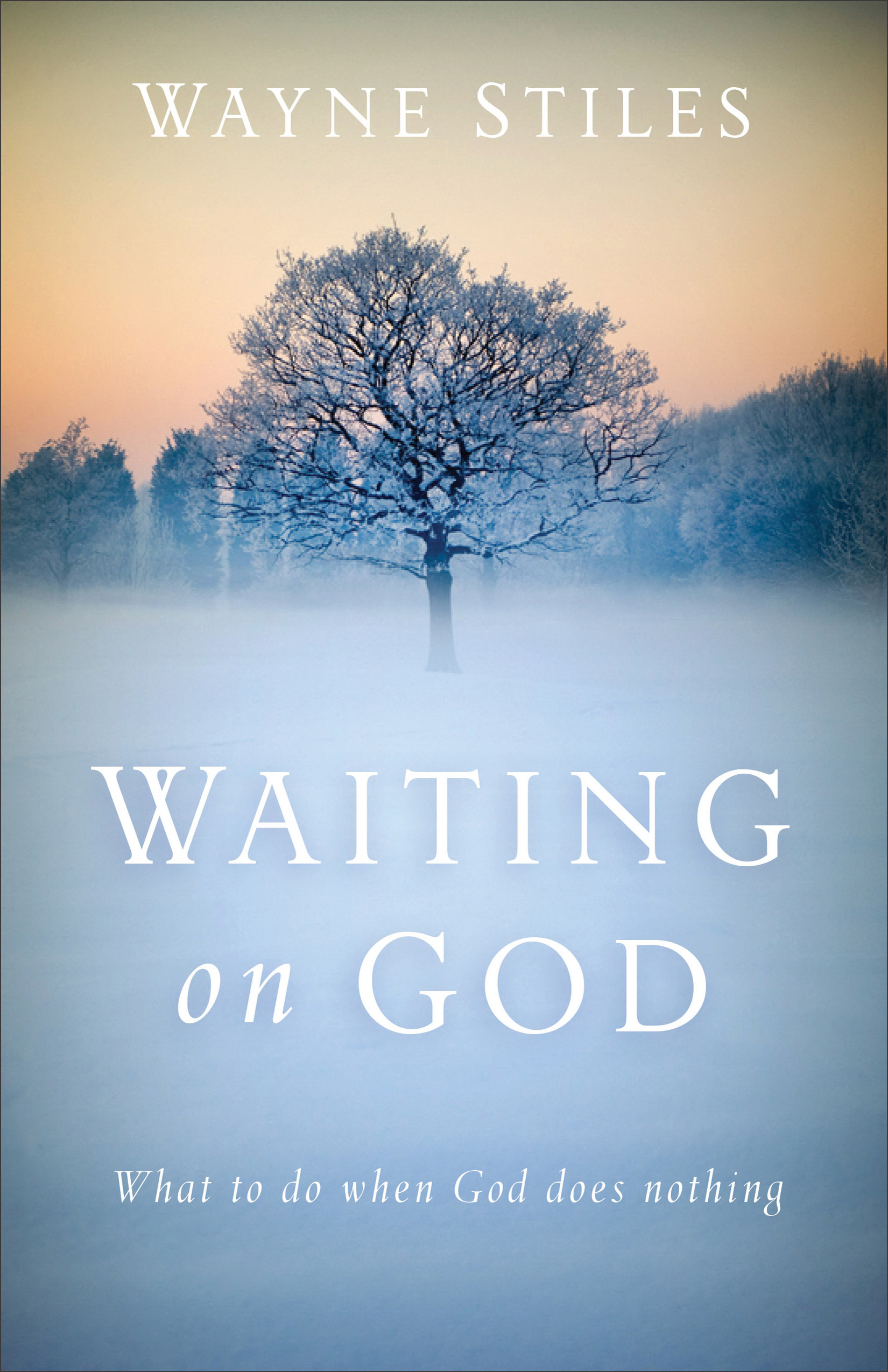 Waiting on God By Wayne Stiles (Paperback) 9780801018459