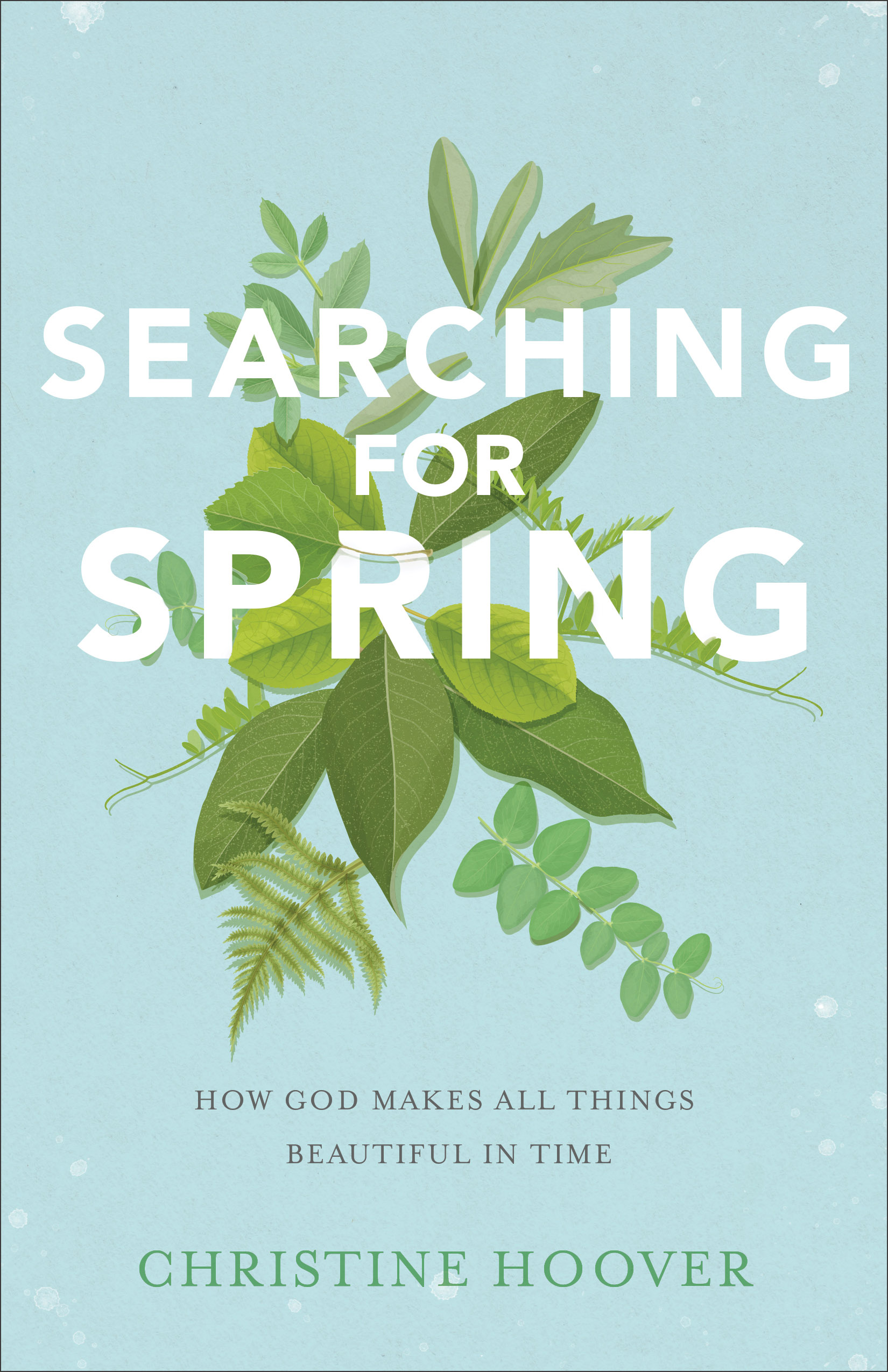 Searching For Spring By Christine Hoover (Paperback) 9780801019388