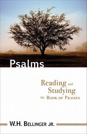 Psalms By W H Bellinger (Paperback) 9780801045615