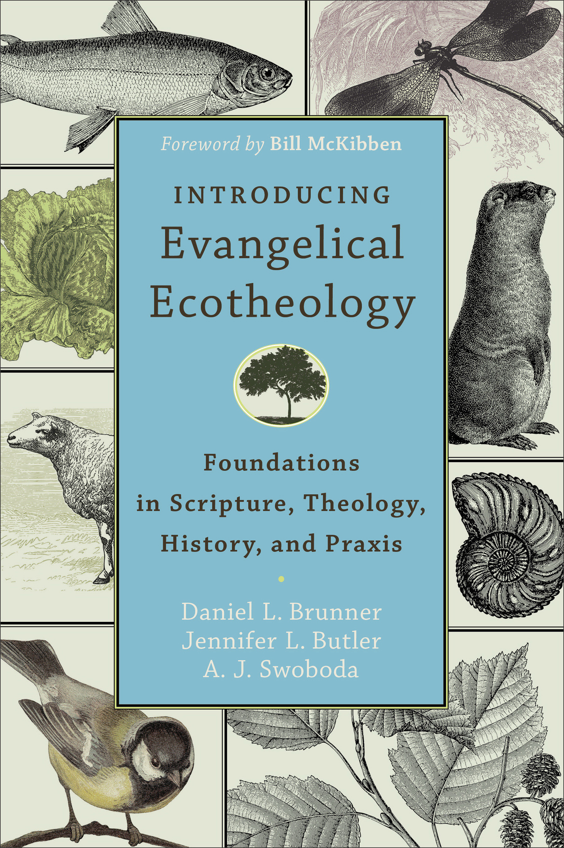 Introducing Evangelical Ecotheology By Daniel L Brunner (Paperback)