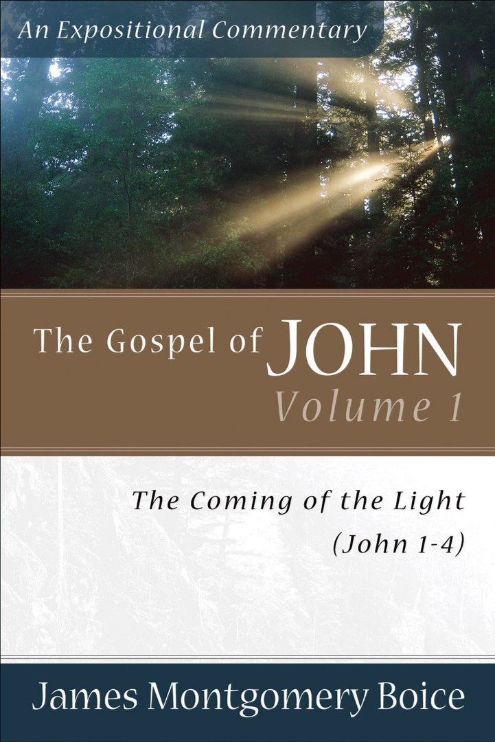 John 1-4 The Gospel of John The Coming of the Light (Paperback)