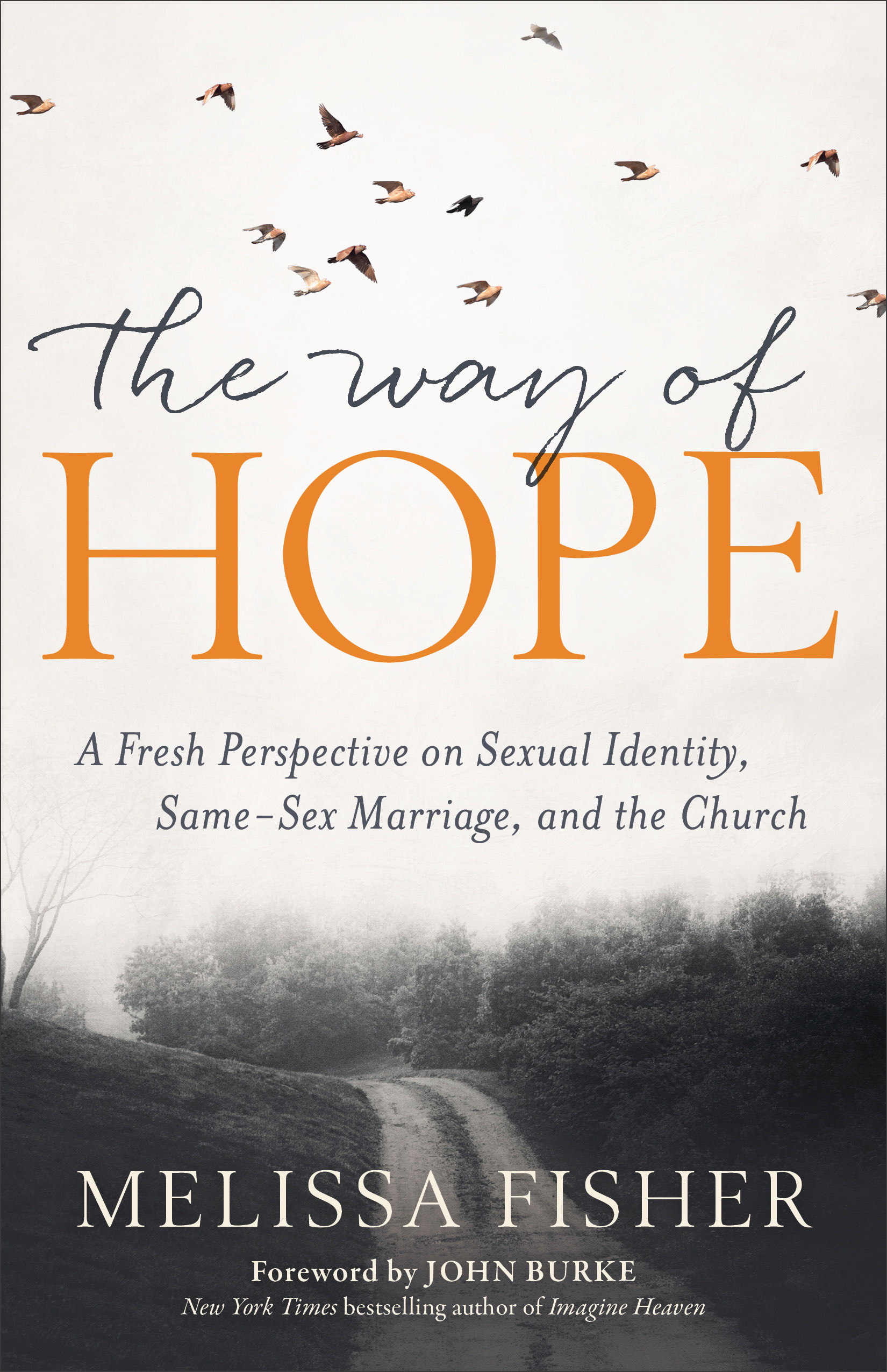 The Way of Hope By Melissa Fisher (Paperback) 9780801072956