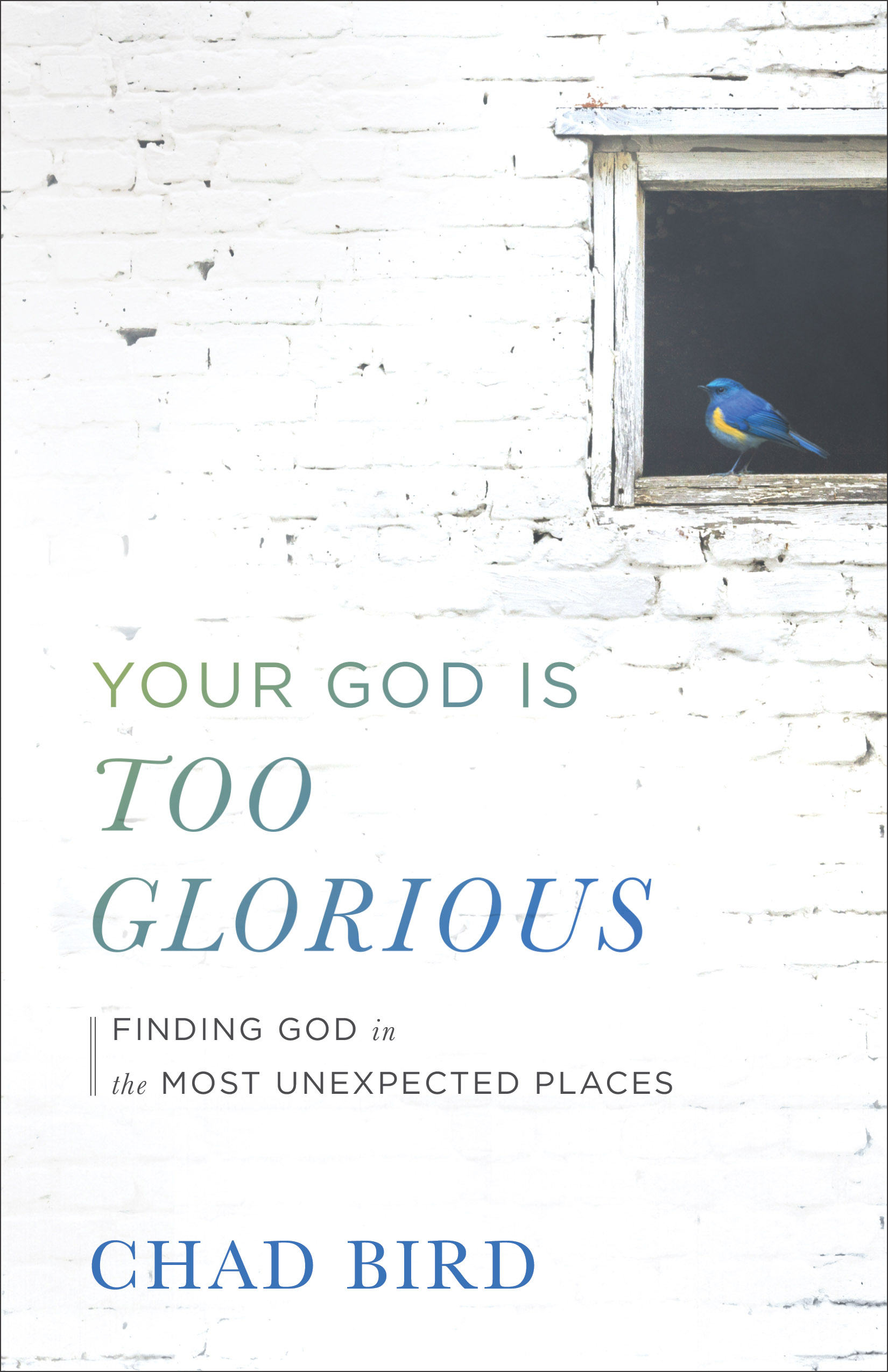 Your God is Too Glorious By Chad Bird (Paperback) 9780801075667