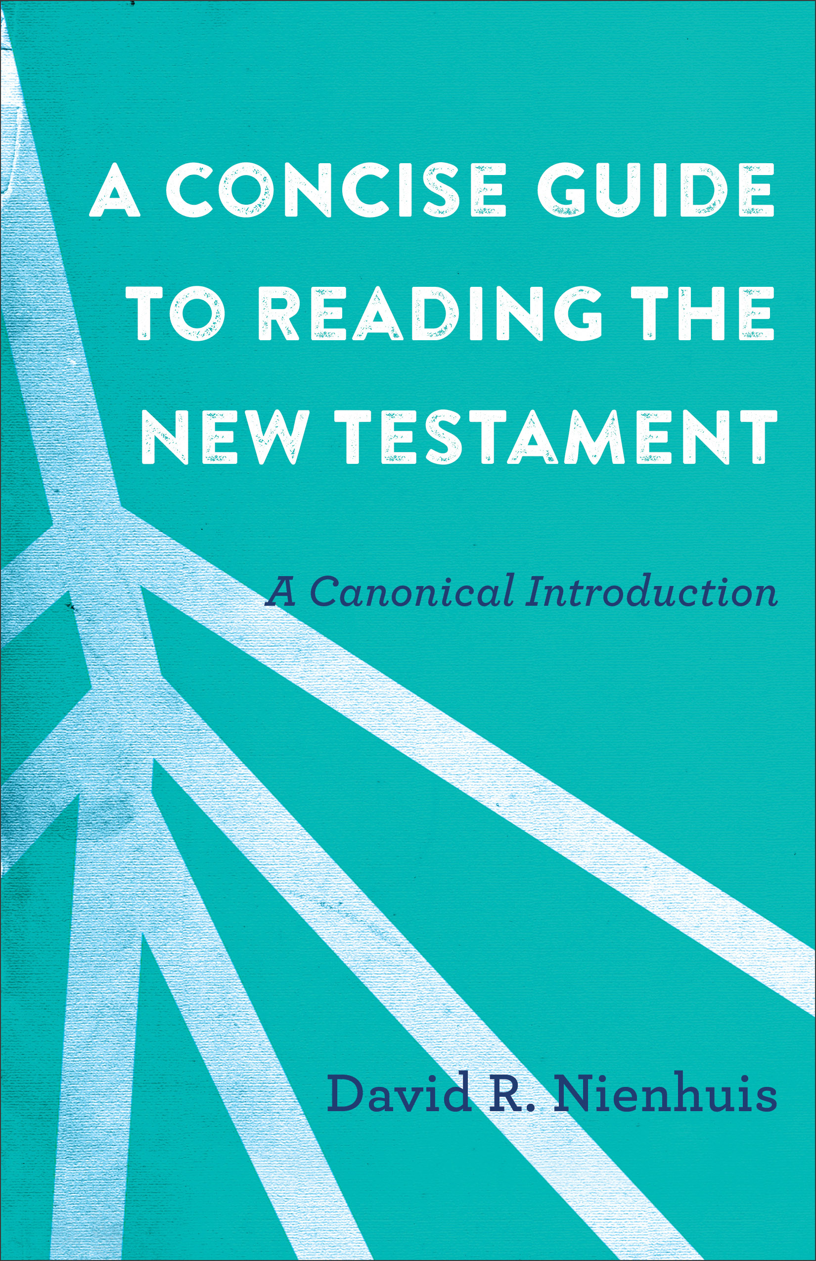 A Concise Guide to Reading the New Testament By David R Nienhuis