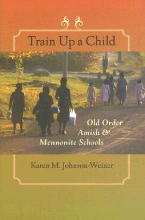 Train Up a Child By Karen M Johnson-Weiner (Hardback) 9780801884955