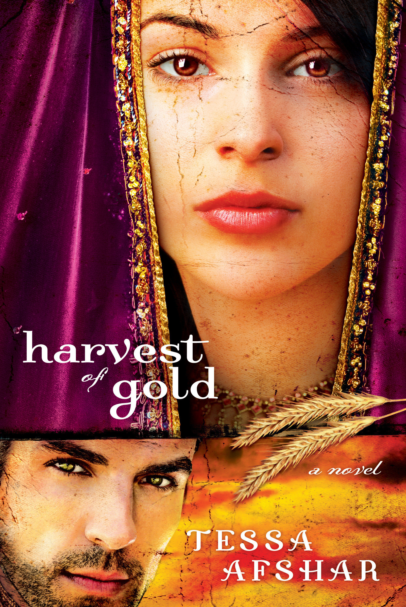 Harvest Of Gold By Tessa Afshar (Paperback) 9780802405593