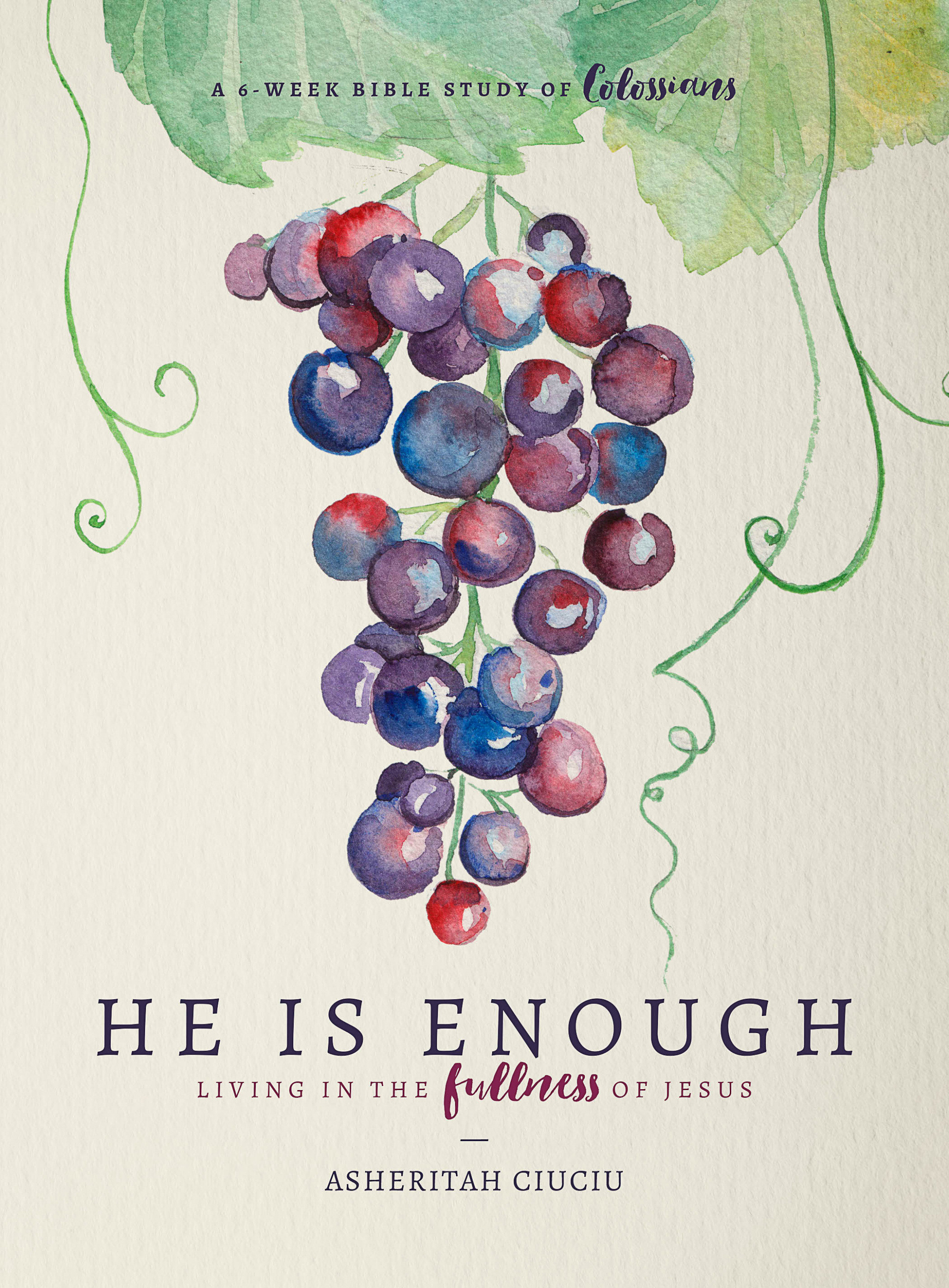 HE is Enough By Asheritah Ciuciu (Paperback) 9780802416865