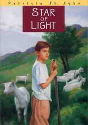 Star Of Light By St John Patricia M (Paperback) 9780802465771