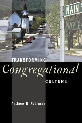 Transforming Congregational Culture By Amanda Robinson (Paperback)