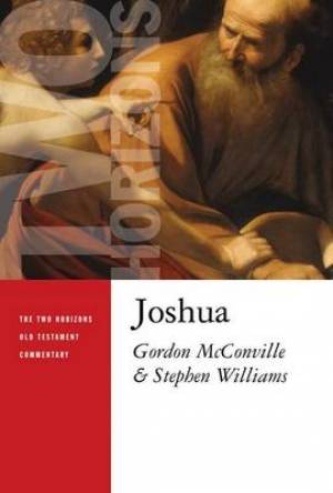 Joshua By Gordon Mc Conville S Williams (Paperback) 9780802827029