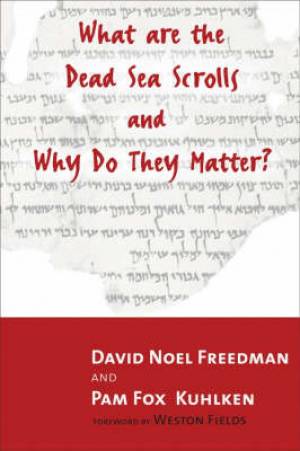 What Are The Dead Sea Scrolls By David Noel Freedman Pam Fox Kuhlken