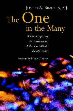 One In The Many By Joseph A Bracken (Paperback) 9780802848925