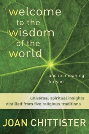 Welcome to the Wisdom of the World and Its Meaning for You (Paperback)