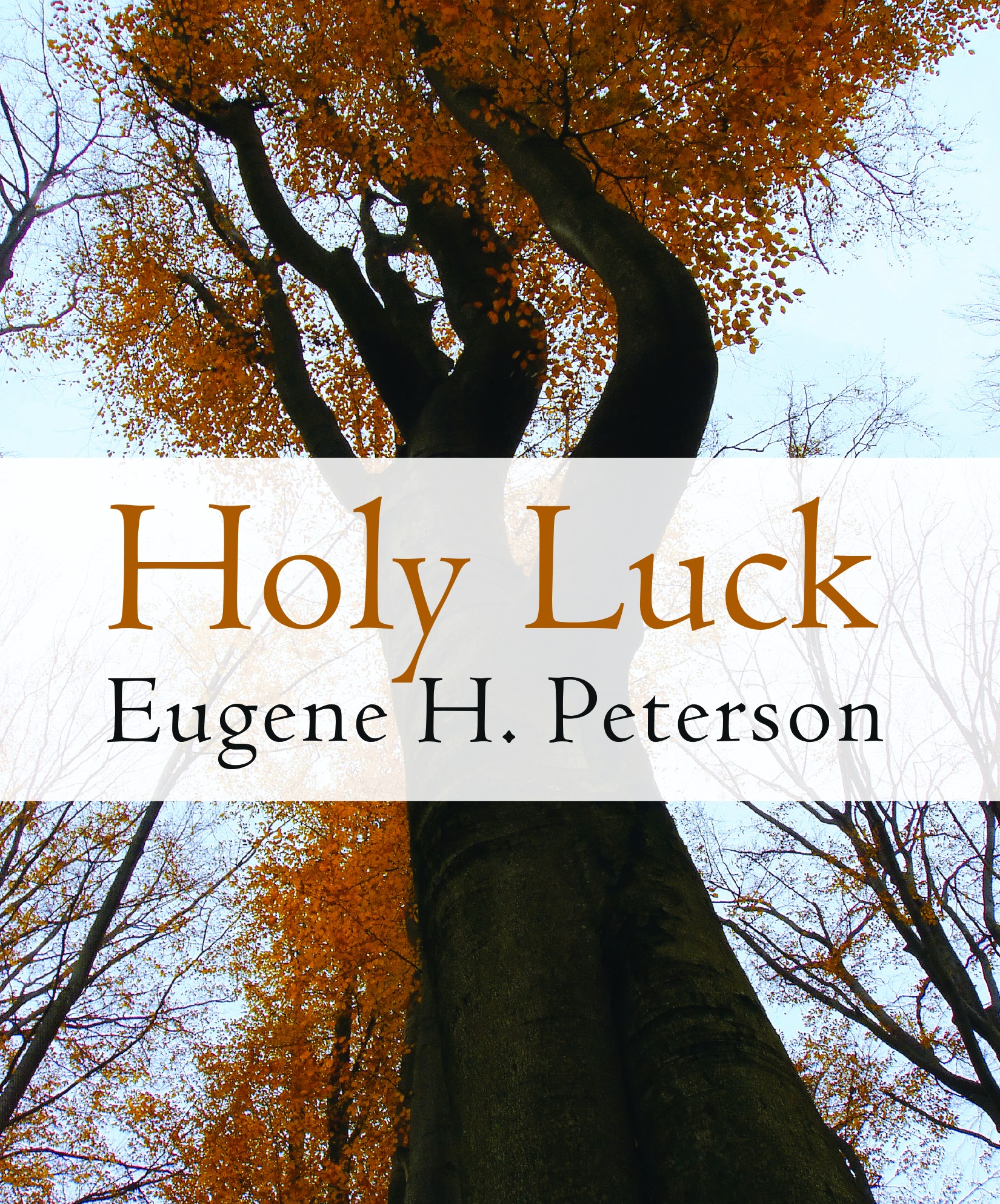 Holy Luck By Eugene H Peterson (Paperback) 9780802870995