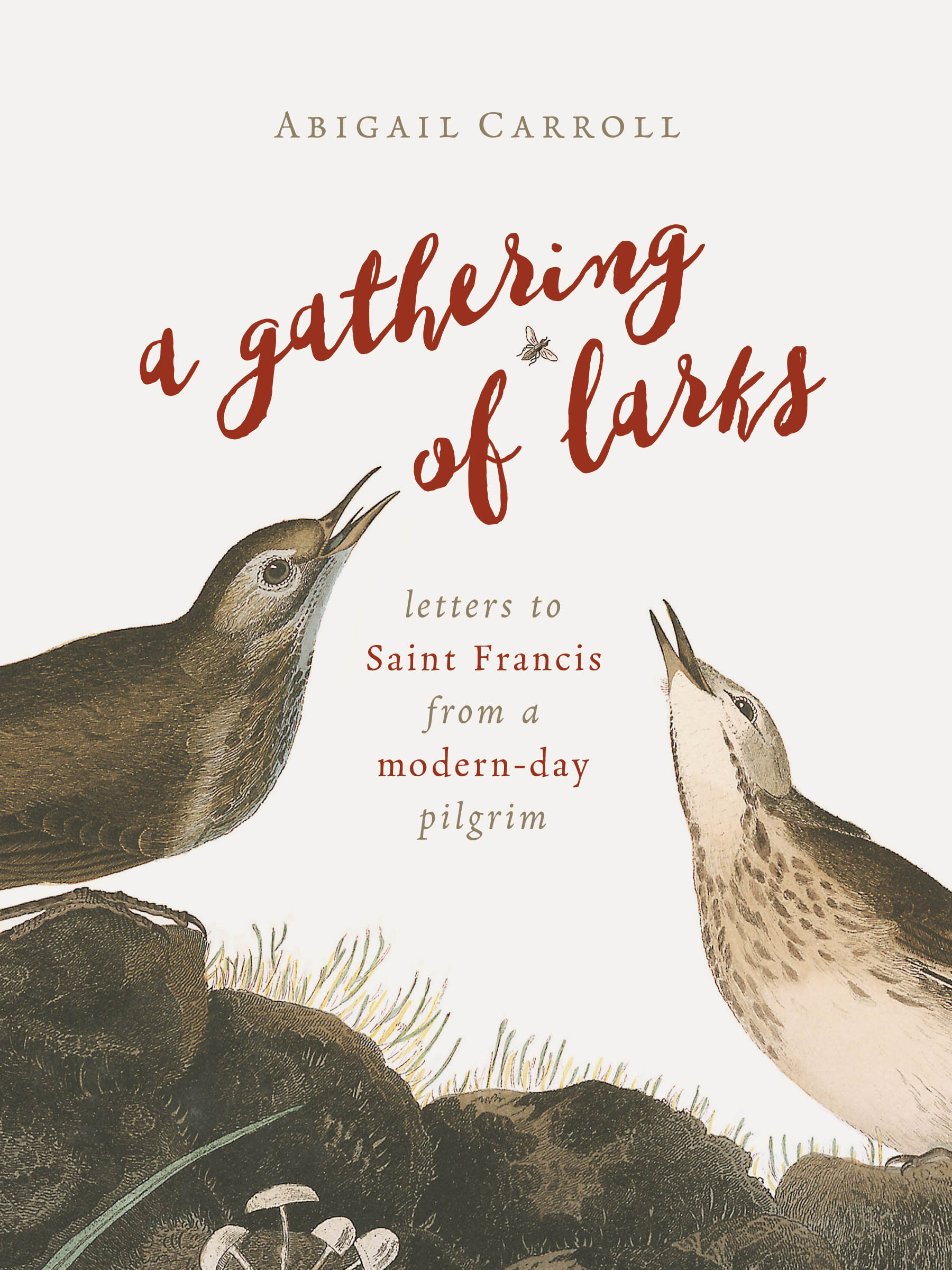 A Gathering of Larks