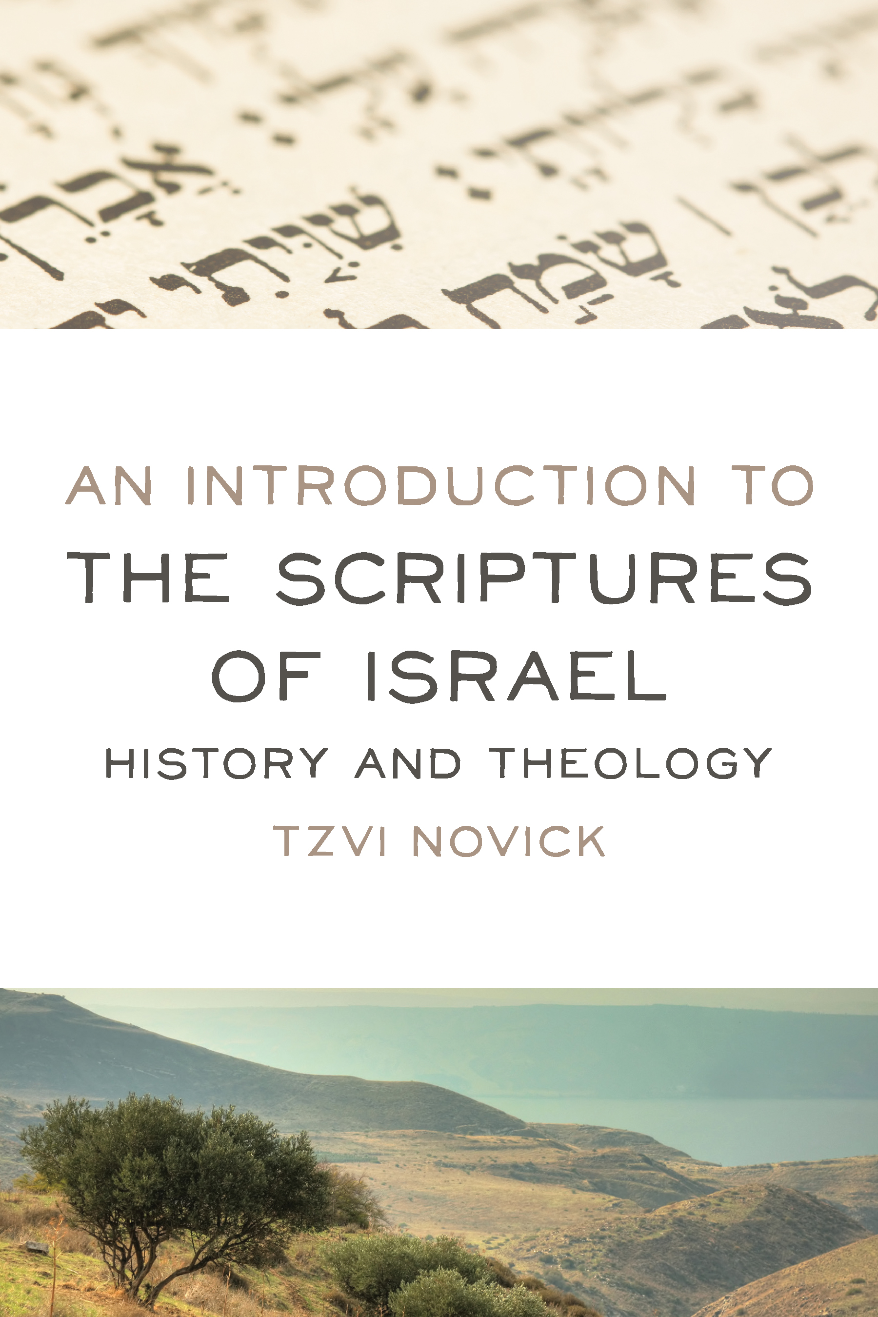 An Introduction to the Scriptures of Israel By Tzvi Novick (Paperback)