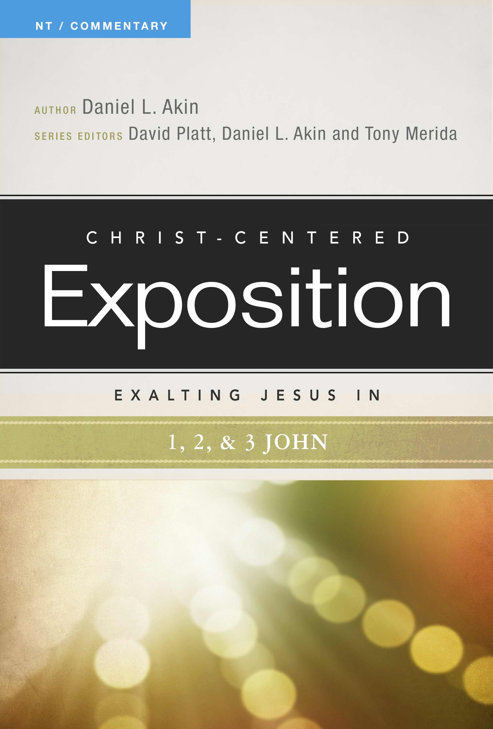 Exalting Jesus In 1 2 3 John By Akin Daniel L Platt D (Paperback)