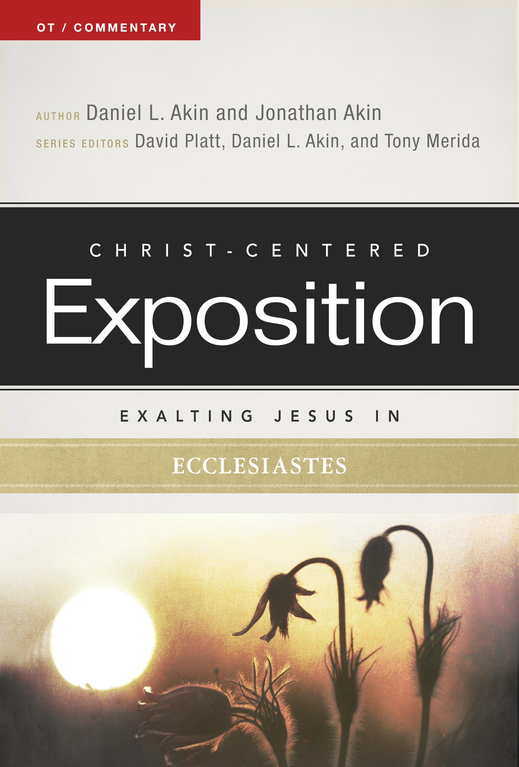 Exalting Jesus In Ecclesiastes By Akin Daniel L Akin Jon (Paperback)