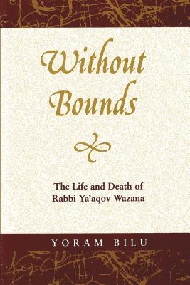 Without Bounds By Yoram Bilu (Paperback) 9780814343241