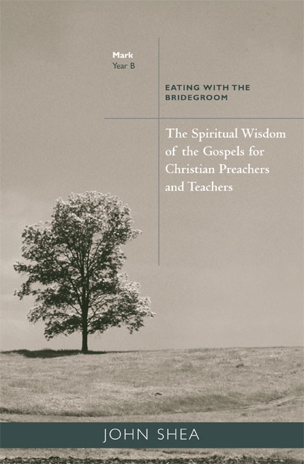 The Spiritual Wisdom of the Gospels for Christian Preachers and Teache