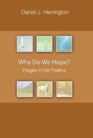 Why Do We Hope By Daniel J Harrington SJ (Paperback) 9780814630853