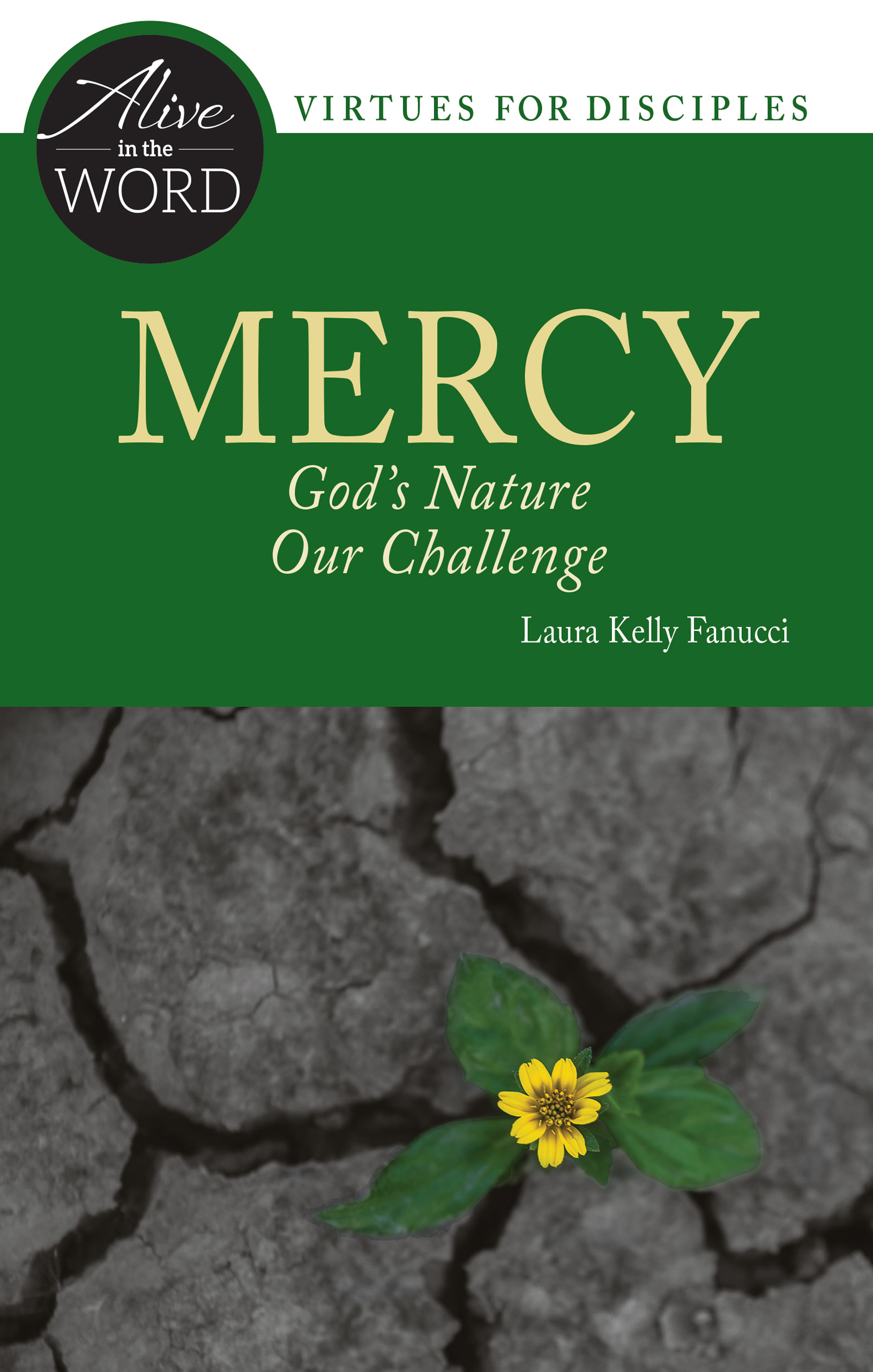 Mercy By Laura Kelly Fanucci (Paperback) 9780814636916