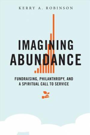 Imagining Abundance By Kerry Alys Robinson (Paperback) 9780814637661