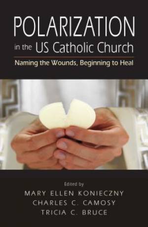 Polarization in the US Catholic Church Naming the Wounds Beginning t