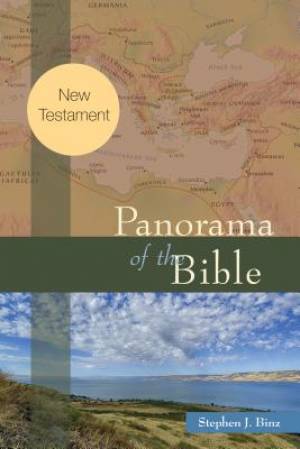 Panorama of the Bible By Stephen J Binz (Paperback) 9780814648544