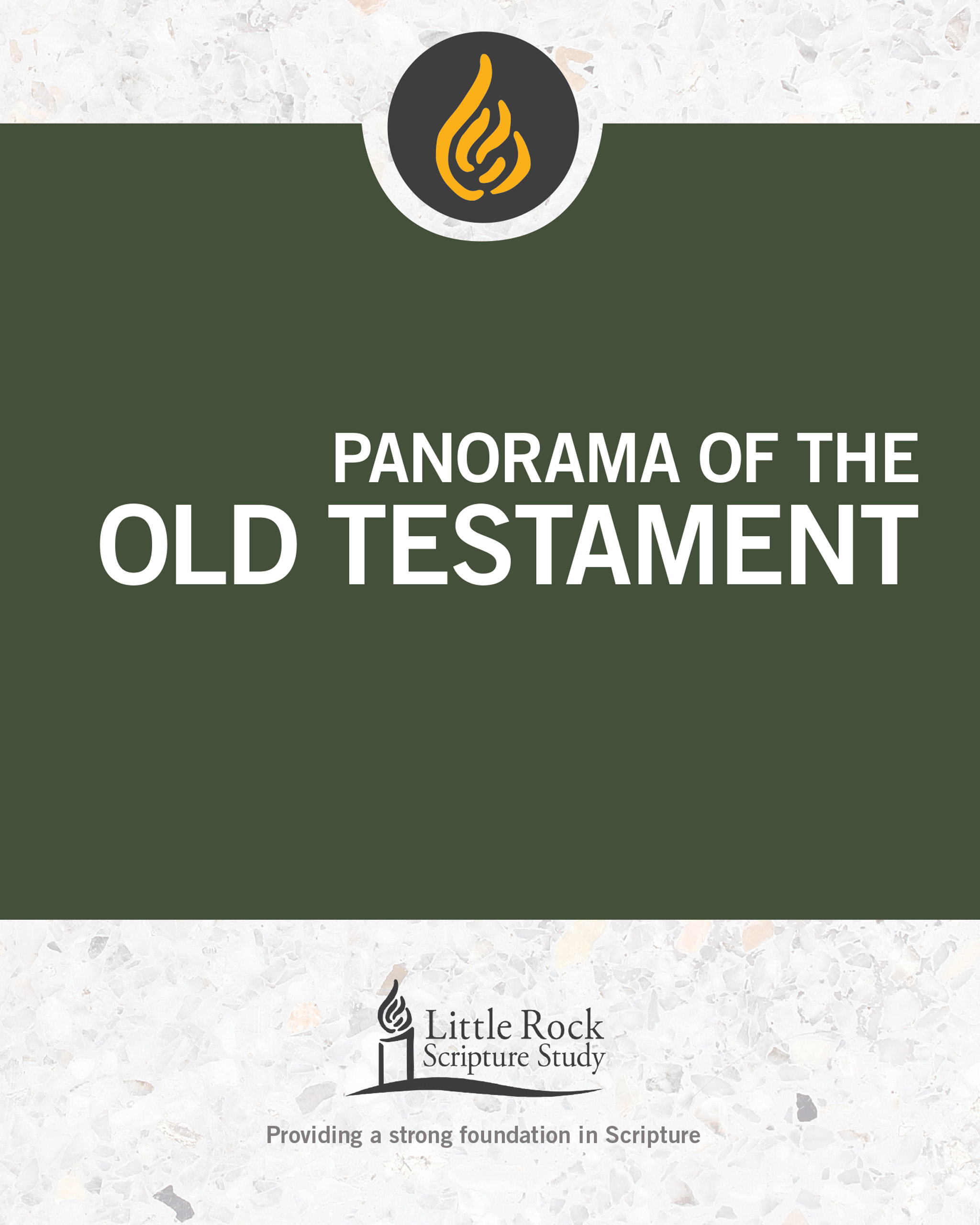 Panorama of the Old Testament By Binz Stephen J (Paperback)