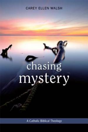 Chasing Mystery By Carey Ellen Walsh (Paperback) 9780814680698