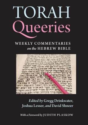 Torah Queeries Weekly Commentaries on the Hebrew Bible By David Shneer